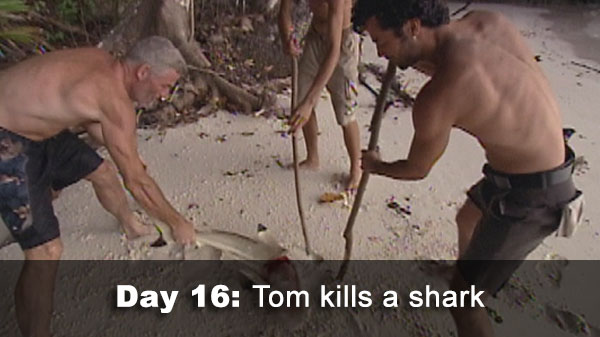 Tom kills a shark