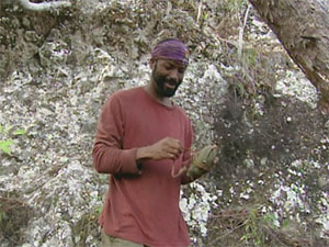 Ep.13 idol: Earl
