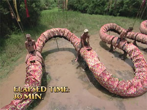 Ep.8 IC: Dragon Rider