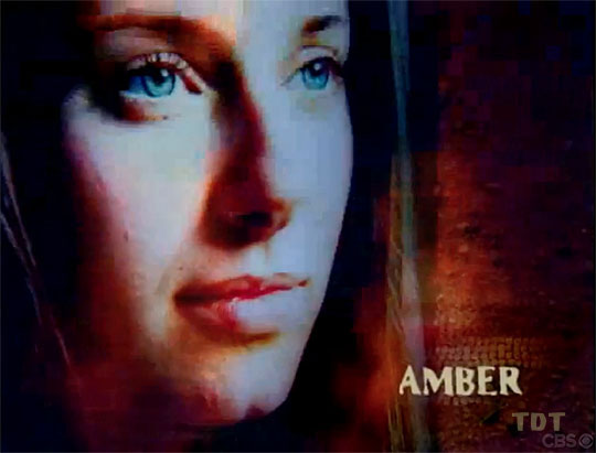 Amber Brkich S2
