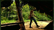 James kicks the shoe