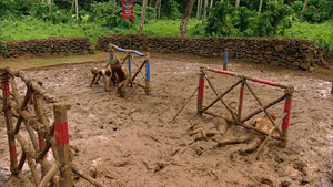 Ep.8 IC: Mudslide