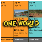 Survivor 24 calendar