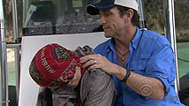 Ep.5 medevac