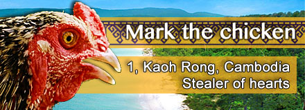 Mark the chicken