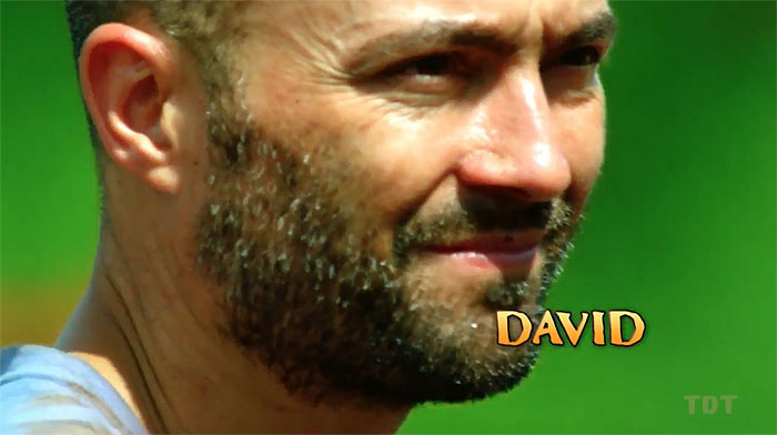 David Wright S33