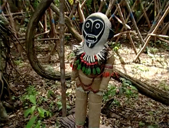 Amazon idol