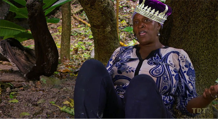 If the crown fits