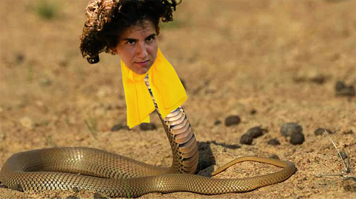 Cobry