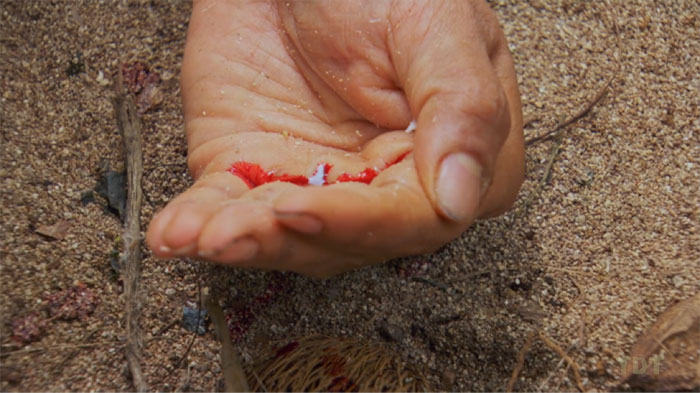Merely a flesh wound
