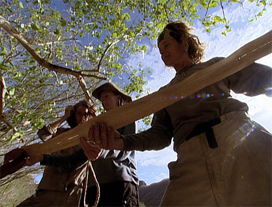 Kathy Vavrick-O'Brien S4