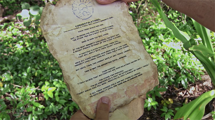 Survivor 41 rules