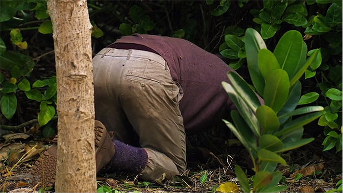 Vomiting Carson