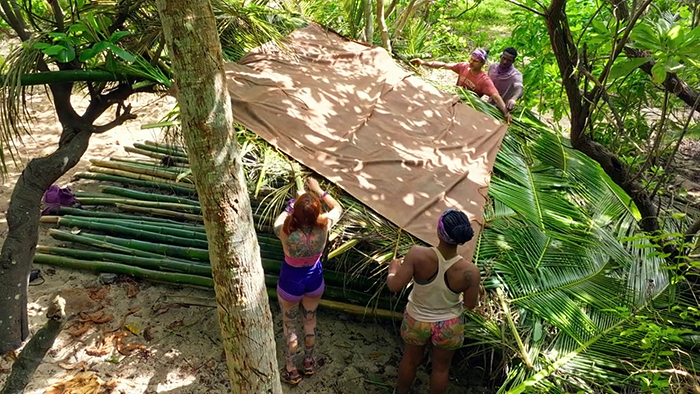 Yanu tarp