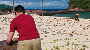 Ep.1 journey: Fight for Supplies