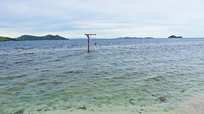 The hanging pot, when Steven arrived The hanging pot, when Steven arrived