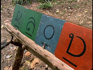 Ep.12 RC: Letter Hunt