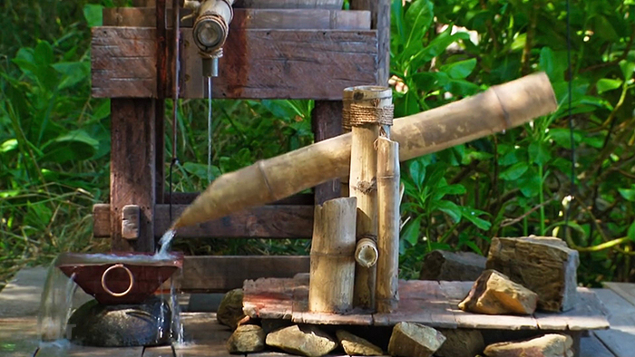 The water timer The water timer