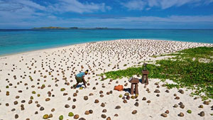 Ep.8 journey: 2000 coconuts