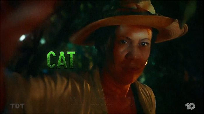 Cat Hooker AU12