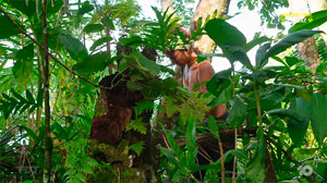 Ep.8 idol: Brooke, #2