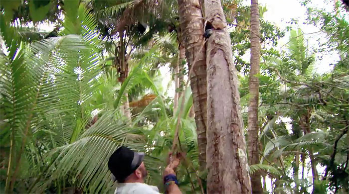 Russell Hantz AU3