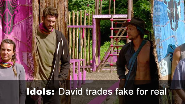David gets idol
