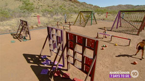 Ep.23 IC: Balls, ladder puzzle, skee-ball