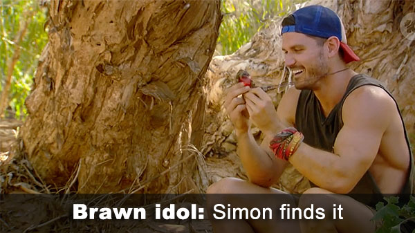 Simon finds Brawn idol