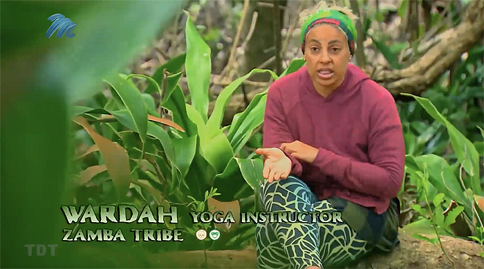 Wardah Hartley
