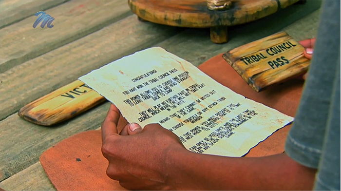 Anesu's Tribal Council pass