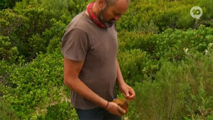 Ep.11 advantage: Shane
